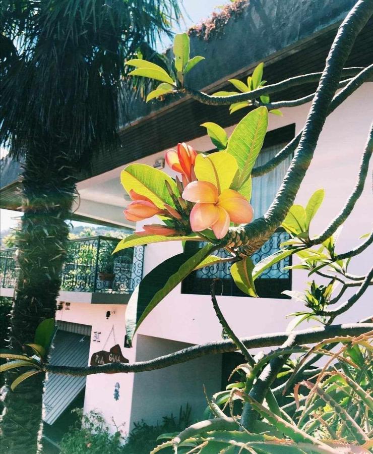 Vila Gama Apartamentos rodeados de natureza com vista para o mar Machico  Bagian luar foto