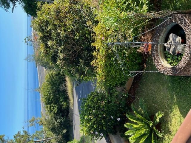 Vila Gama Apartamentos rodeados de natureza com vista para o mar Machico  Bagian luar foto