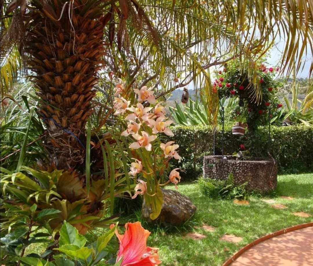 Vila Gama Apartamentos rodeados de natureza com vista para o mar Machico  Bagian luar foto
